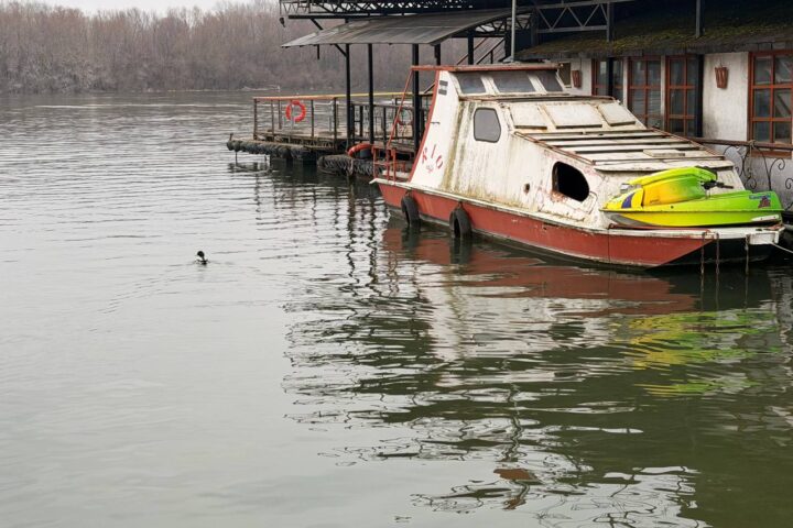 Dunav